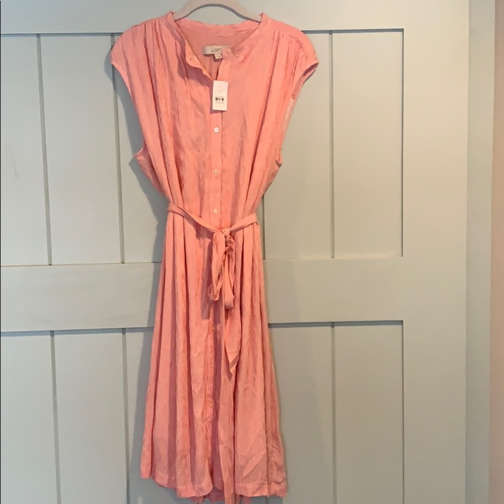 Loft Striped Dress